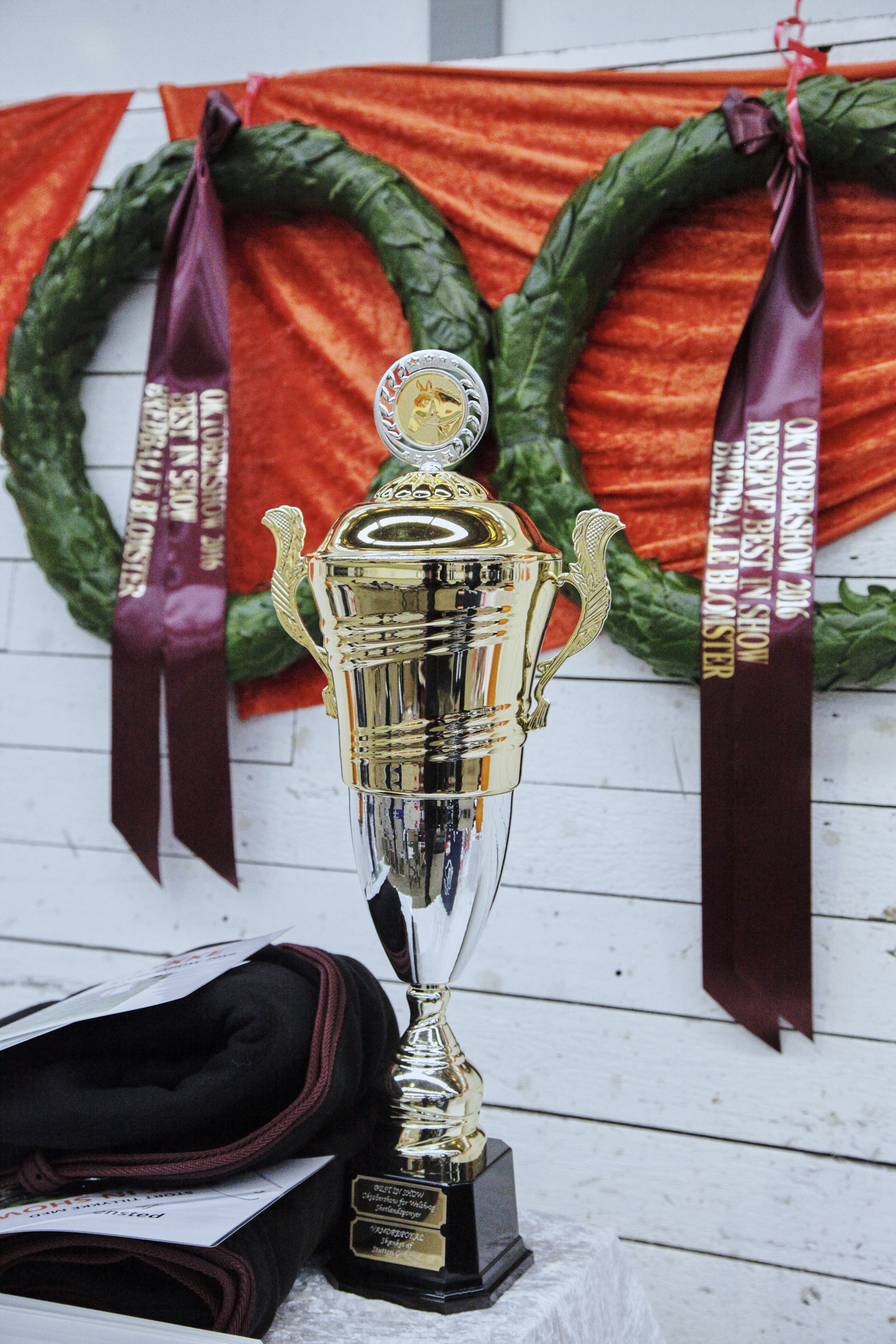 OKTOBERSHOW – PONYER DYSTER OM MEDALJER