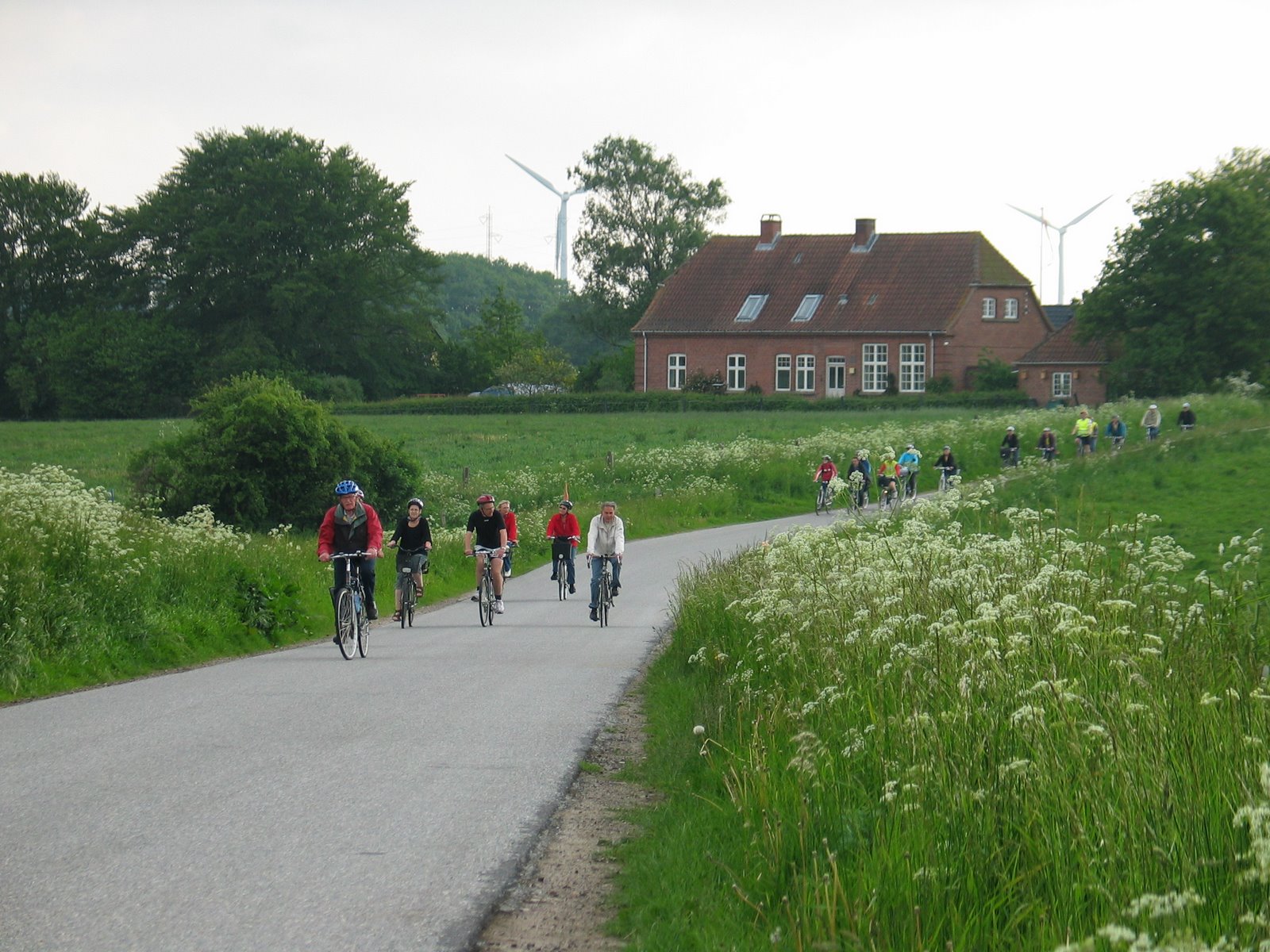 Påkørsler bagfra er årsag til flest alvorlige ulykker for cyklister på landeveje