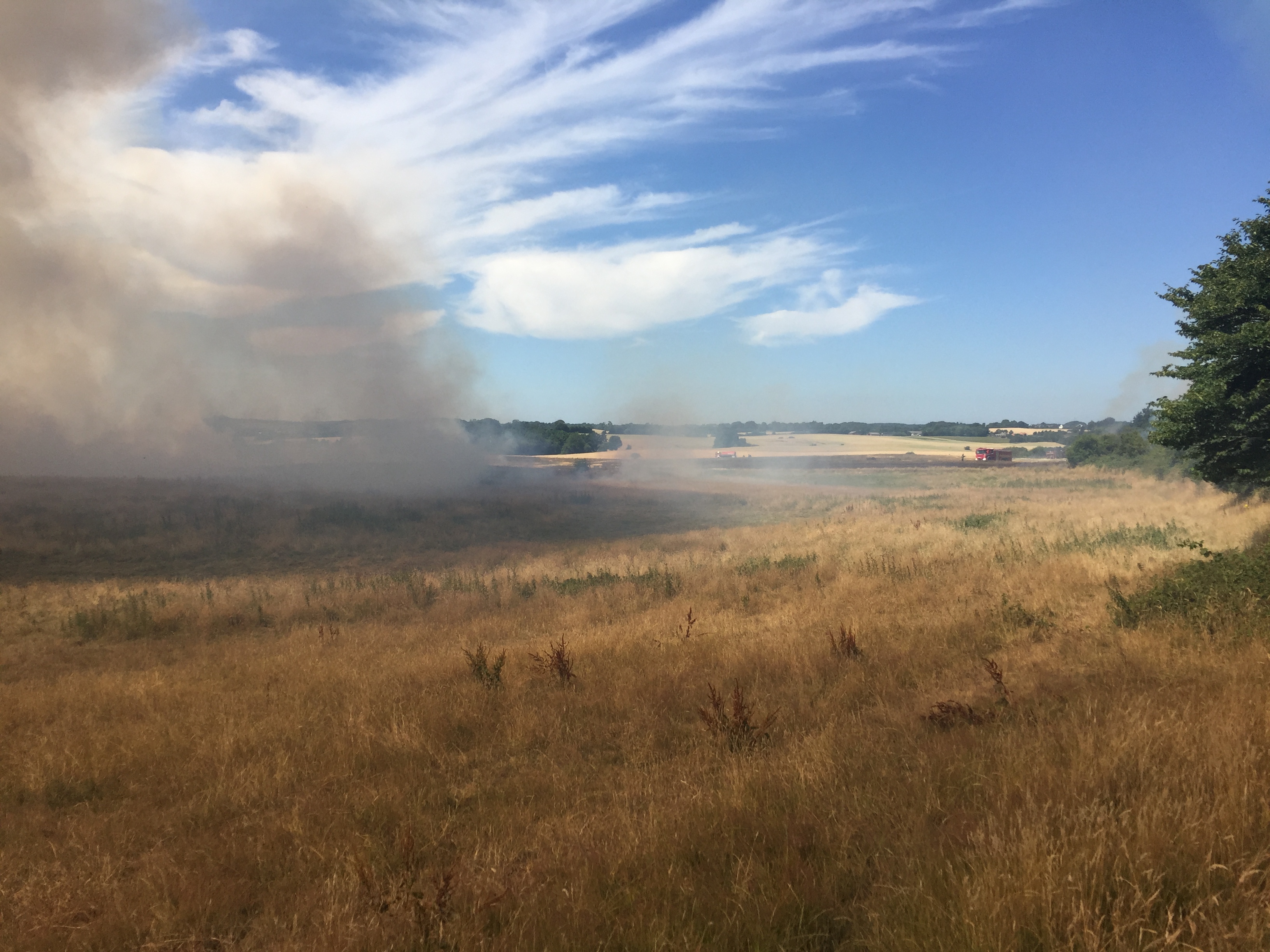 SE VIDEO : NATURBRAND – MARK STÅR I FLAMMER