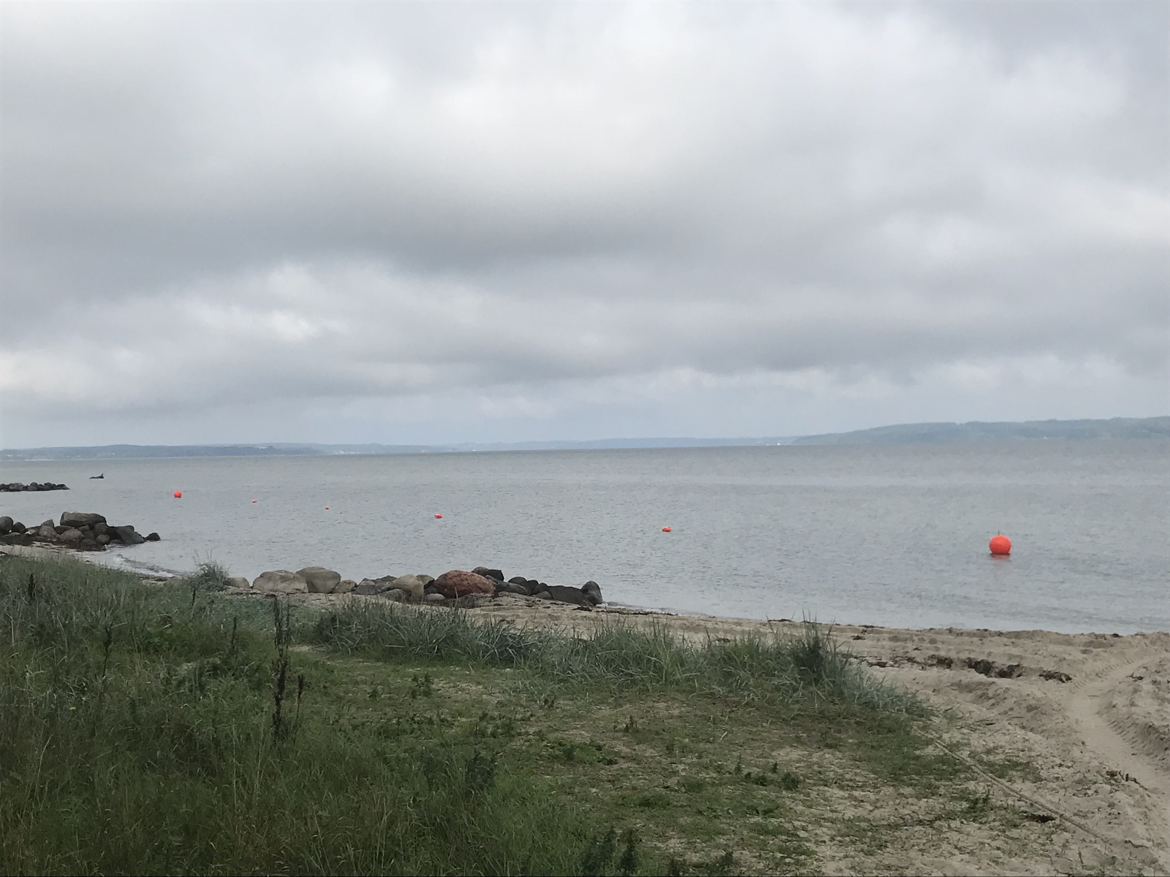 Vær med til åbning af snorkelsti