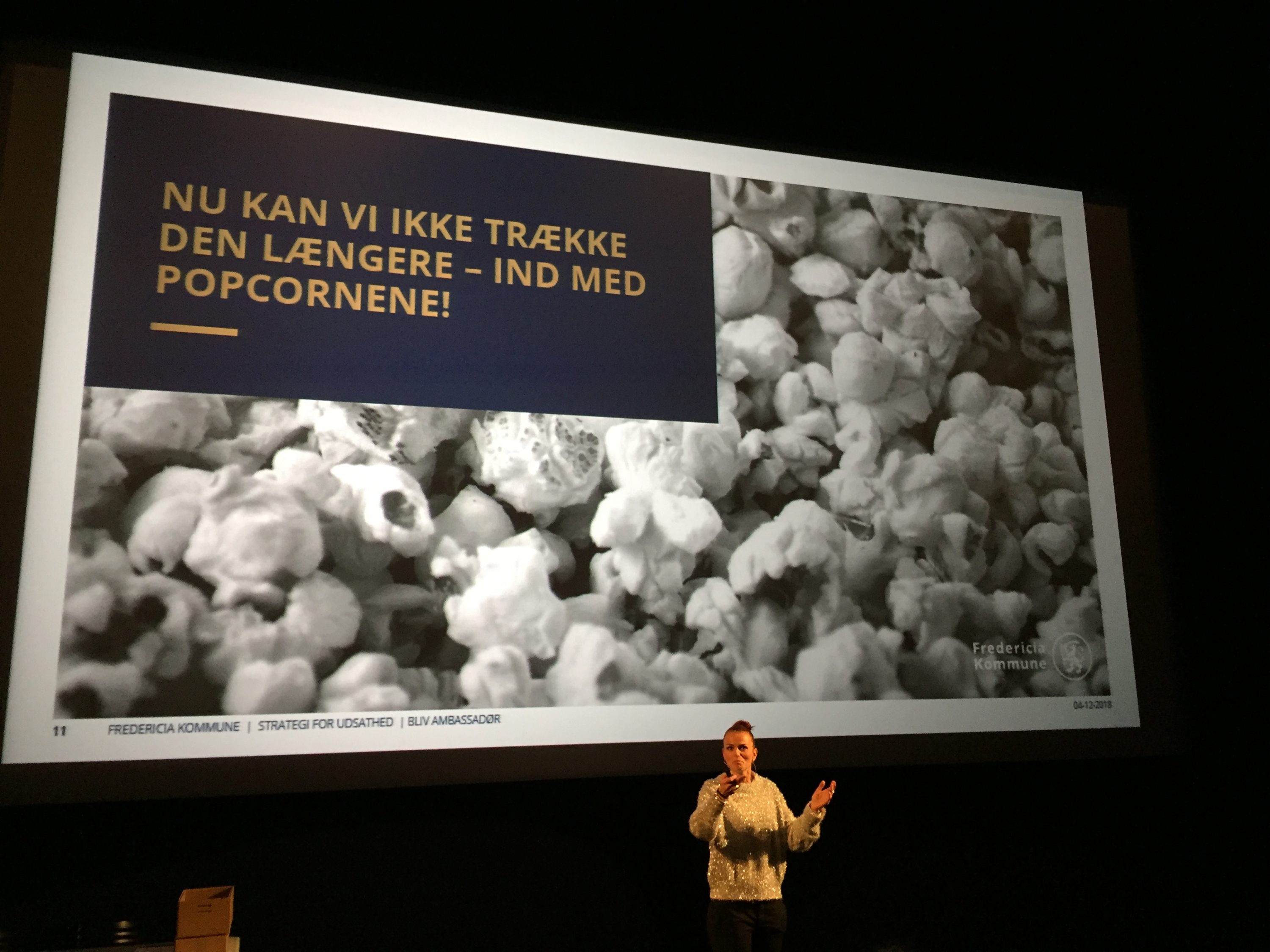 UDSATHED PÅ FILMLÆRREDET