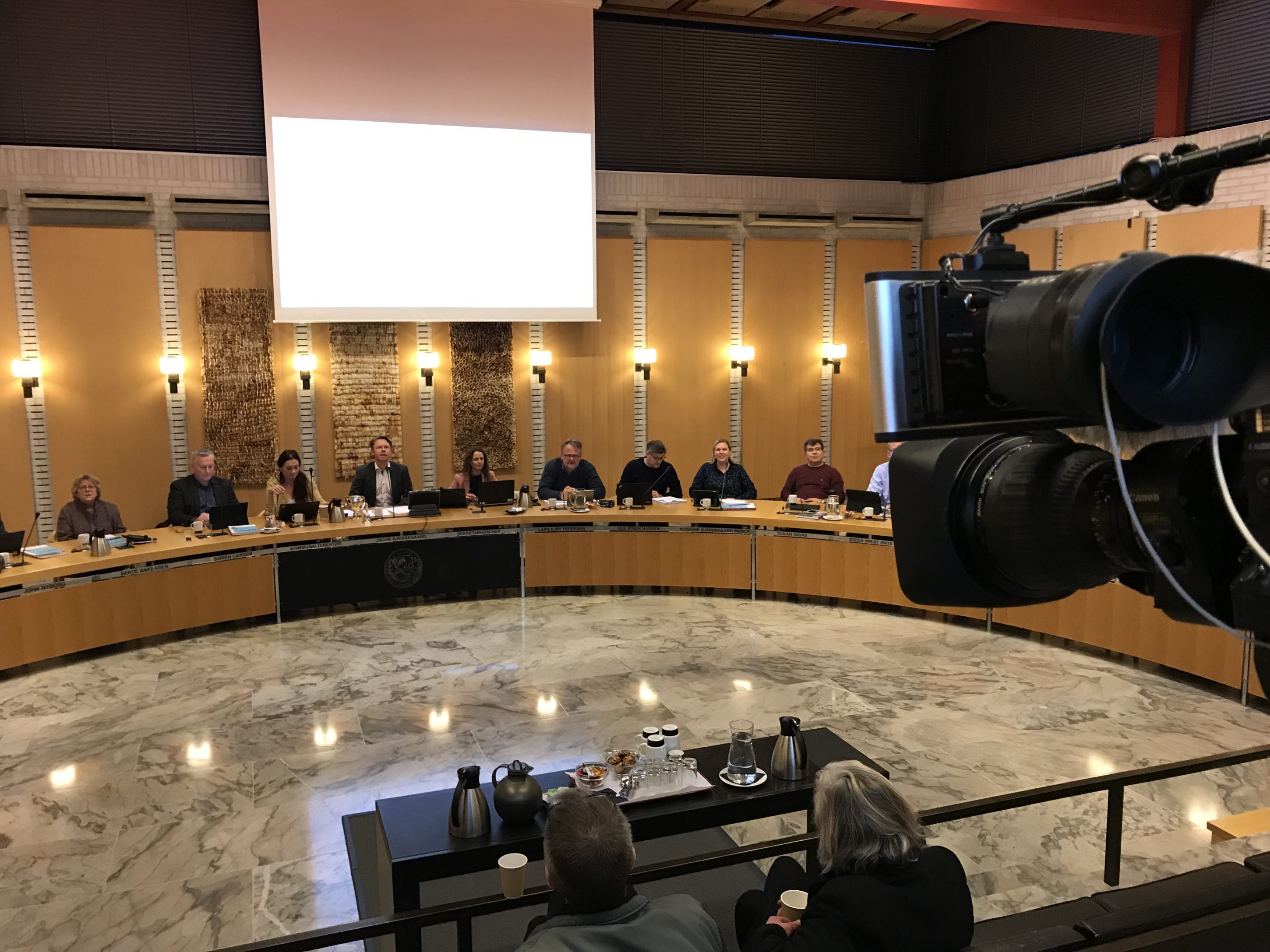 BYRÅDSMEDLEMMER SKAL KUNNE MODTAGE DANNEBROGORDEN FOR LANG TJENESTE