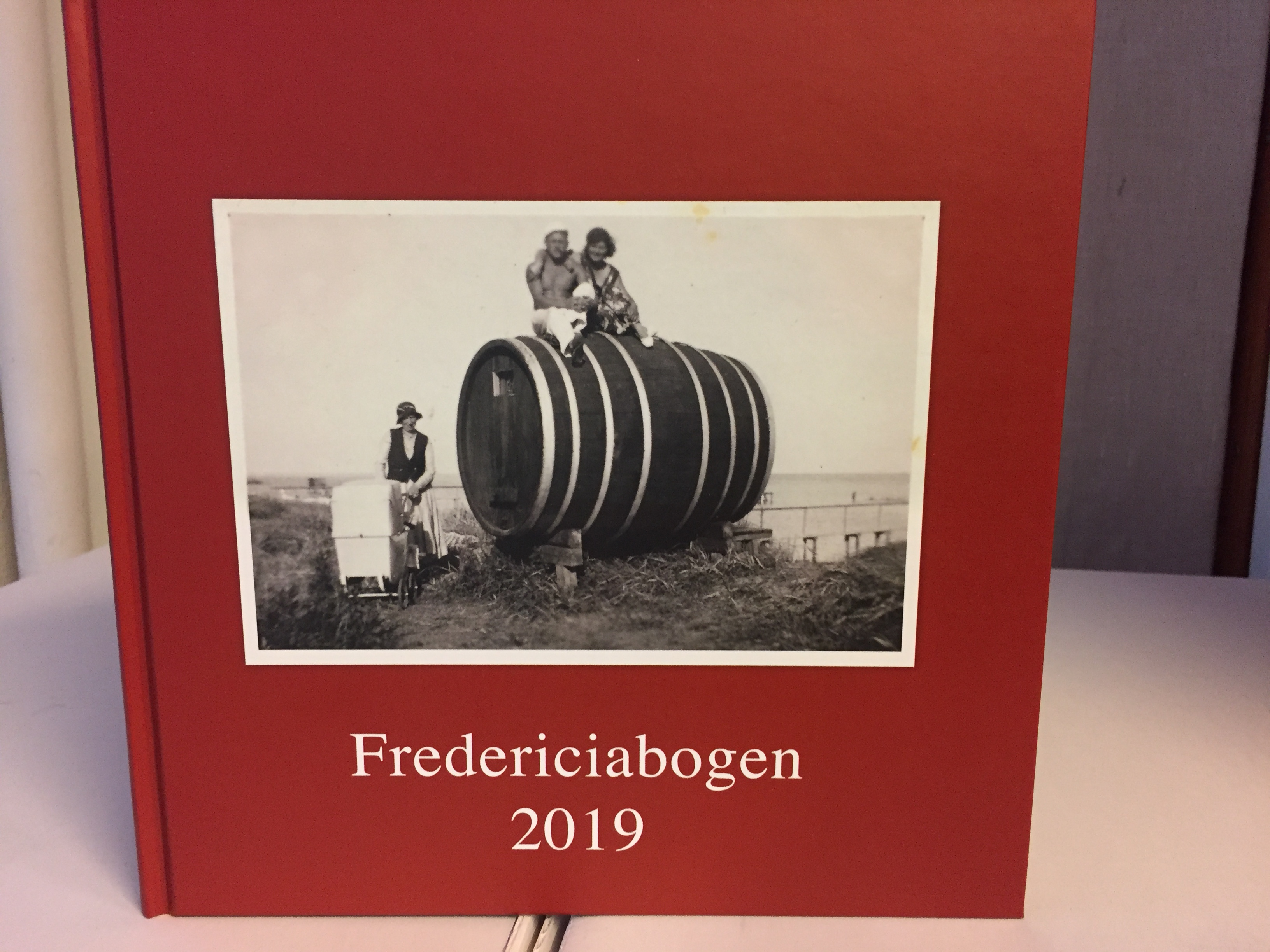 Fredericiabogen 2019, blev torsdag klokken 12.00, afsløret for offentligheden
