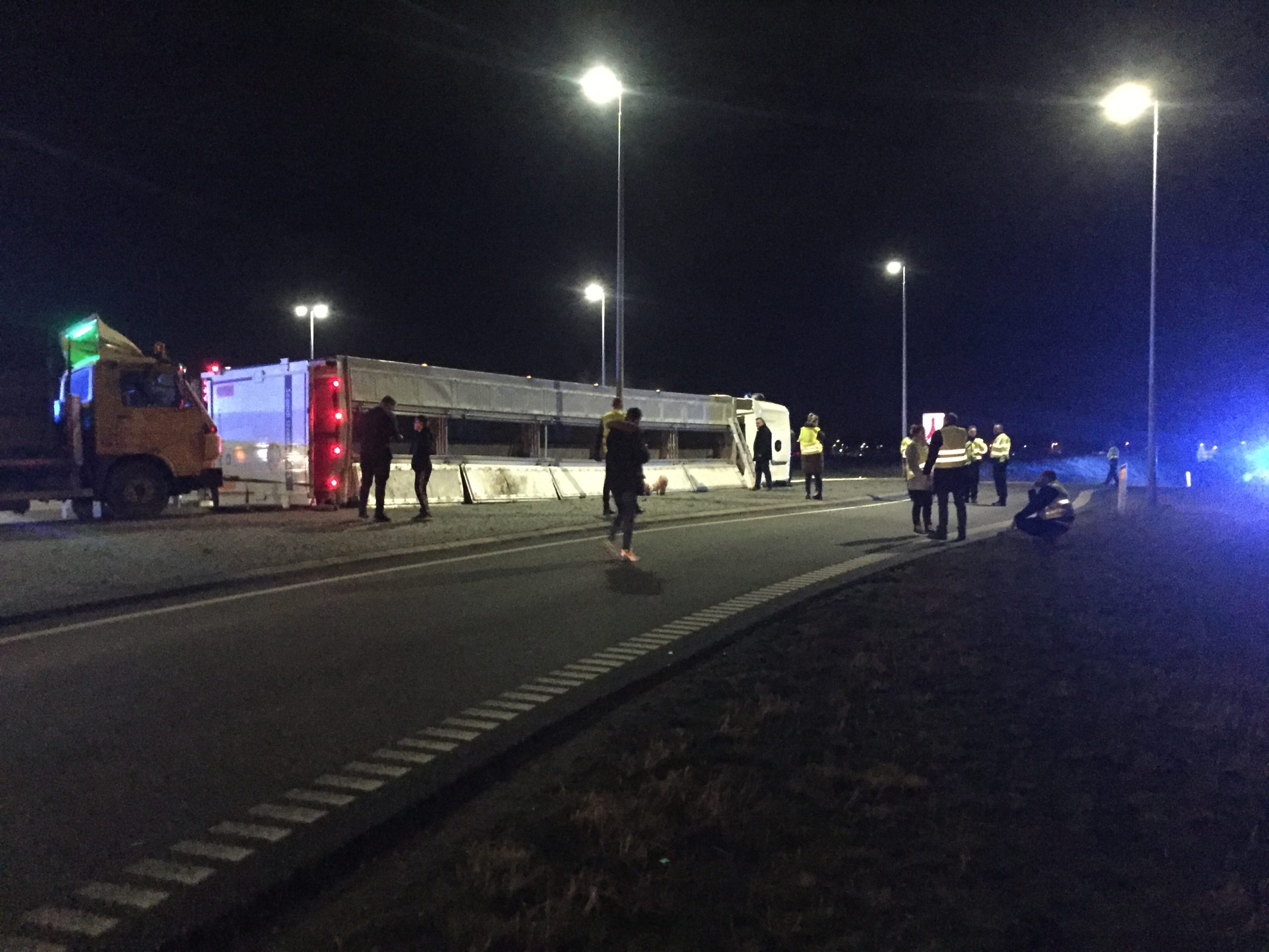 Grisetransport væltet ved Middelfart