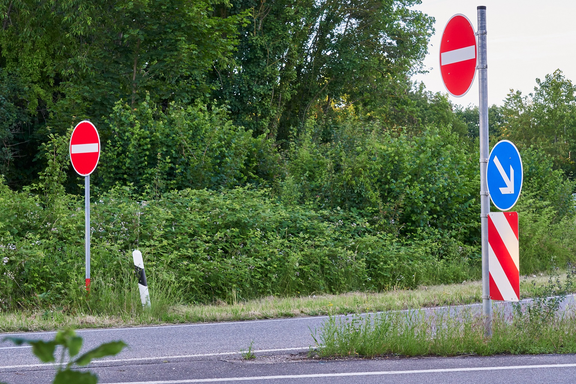 Antallet af spøgelsesbilister faldet til laveste niveau i 15 år