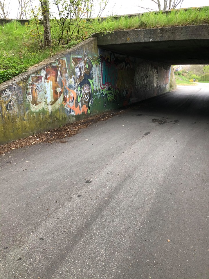 Tunneller overmalet med graffiti i Erritsø og Snoghøj