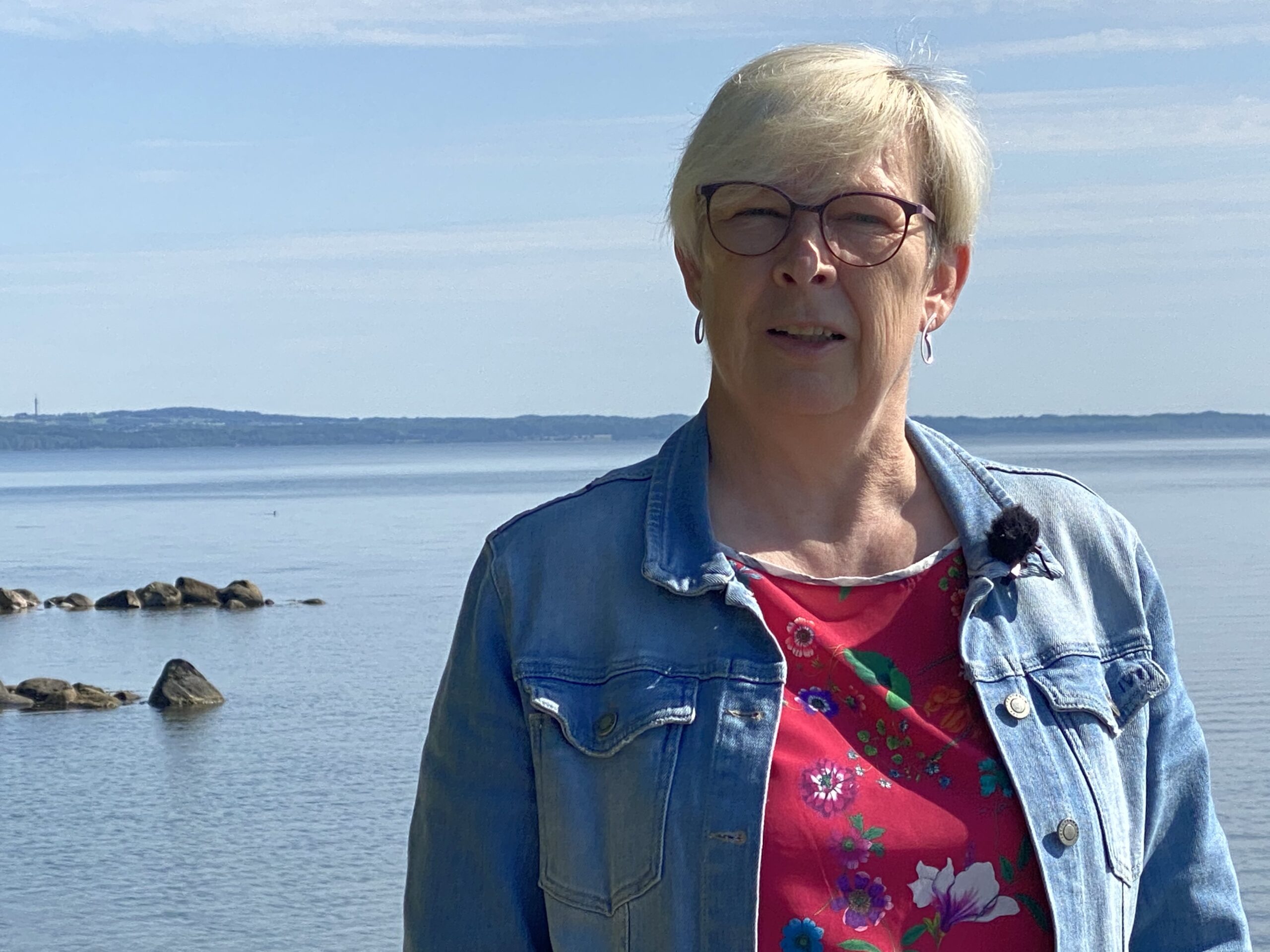 HAR VI ET DEMOKRATISK PROBLEM I FREDERICIA ?